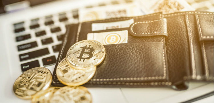 self directed ira crypto hardware wallet