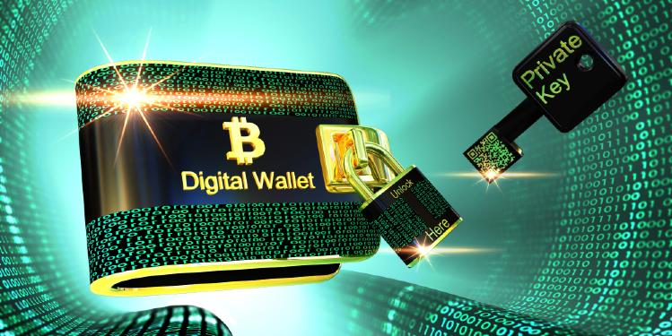 crypto self directed ira